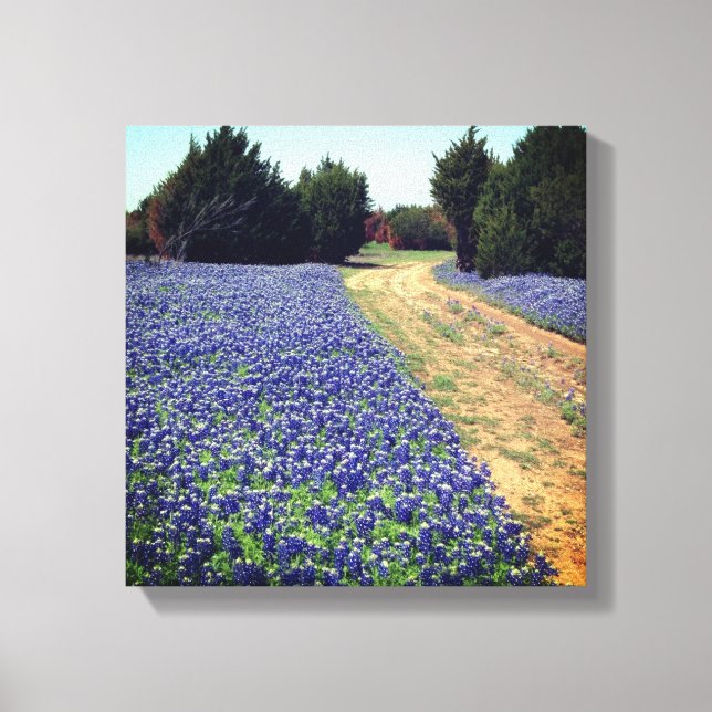 Bluebonnets Dirt Road Print (Front)