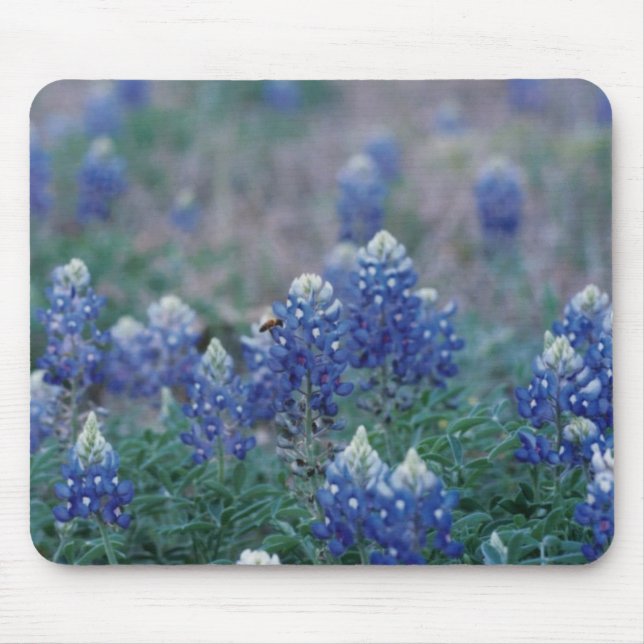 Bluebonnets Mouse Mat (Front)
