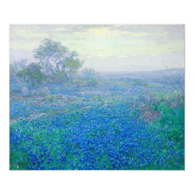 Bluebonnets near San Antonio, Texas by Onderdonk Photo Print (Front)