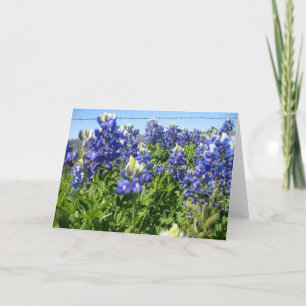 Bluebonnets Notecard