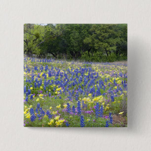 Bluebonnets, primrose, and phlox 15 cm square badge