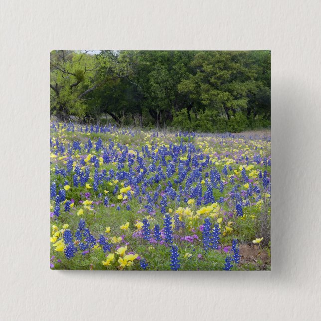 Bluebonnets, primrose, and phlox 15 cm square badge (Front)
