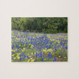 Bluebonnets, primrose, and phlox jigsaw puzzle
