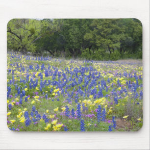 Bluebonnets, primrose, and phlox mouse mat