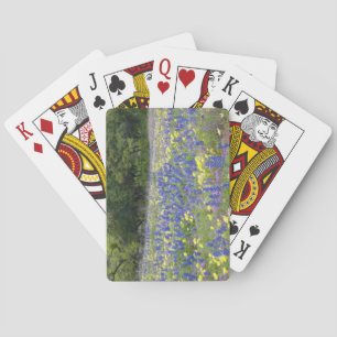 Bluebonnets, primrose, and phlox playing cards
