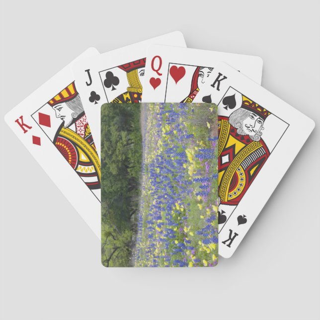 Bluebonnets, primrose, and phlox playing cards (Back)