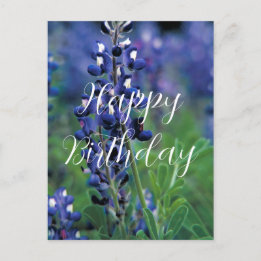 Bluebonnets Texas State Flower Blue Birthday Postcard