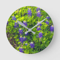 Bluebonnets Texas State Flower Wildflowers Photo