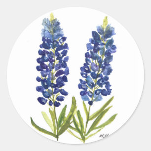 Bluebonnets Texas State Flowers Lupine Watercolor Classic Round Sticker