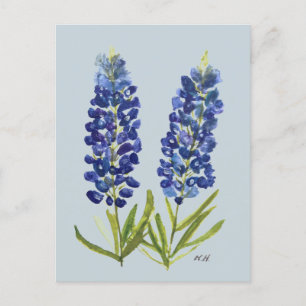 Bluebonnets Texas State Flowers Lupine Watercolor Postcard