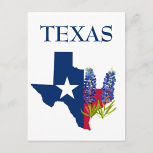Bluebonnets Texas State Flowers Lupine Watercolor Postcard