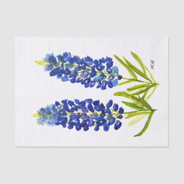 Bluebonnets Texas State Flowers Lupine Watercolor  Tissue Paper (Front)