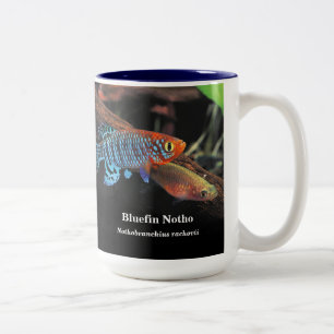 Bluefin notho , Nothobranchius rachovii Two-Tone Coffee Mug