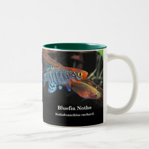 Bluefin notho , Nothobranchius rachovii Two-Tone Coffee Mug
