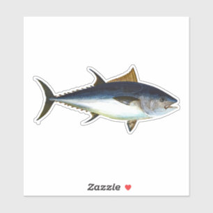Bluefin Tuna