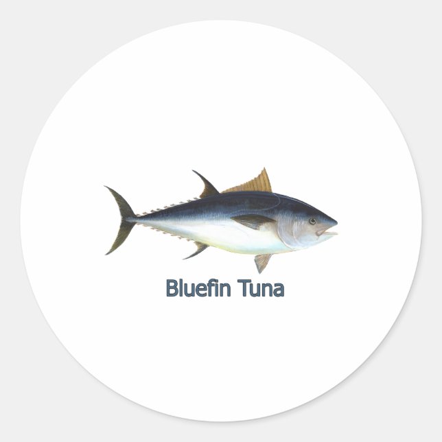 Bluefin Tuna (titled) Classic Round Sticker (Front)