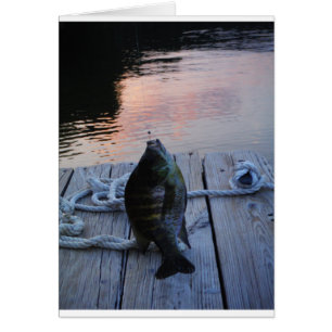 Bluegill at sunset Lake Arrowhead