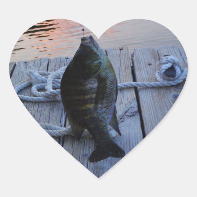 Bluegill at sunset Lake Arrowhead Heart Sticker (Front)