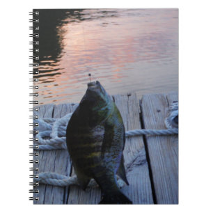 Bluegill at sunset Lake Arrowhead Notebook