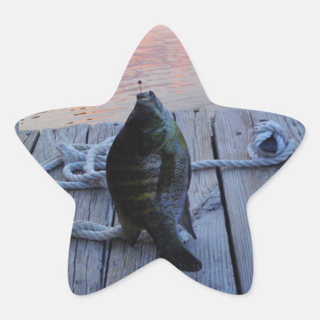 Bluegill at sunset Lake Arrowhead Star Sticker (Front)