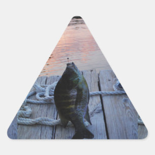 Bluegill at sunset Lake Arrowhead Triangle Sticker