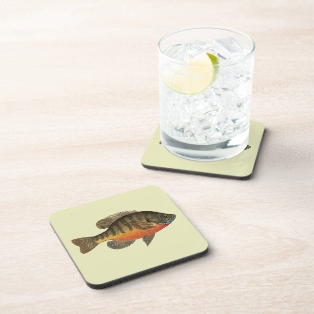 Bluegill Bream Coaster (Right Side)