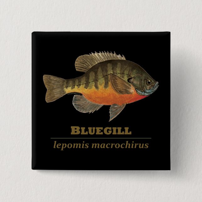 Bluegill Bream Fishing 15 Cm Square Badge (Front)