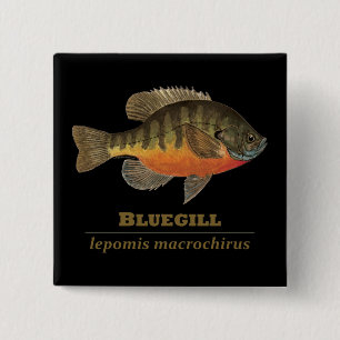 Bluegill Bream Fishing 15 Cm Square Badge