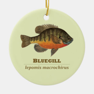 Bluegill Bream Fishing Ceramic Tree Decoration