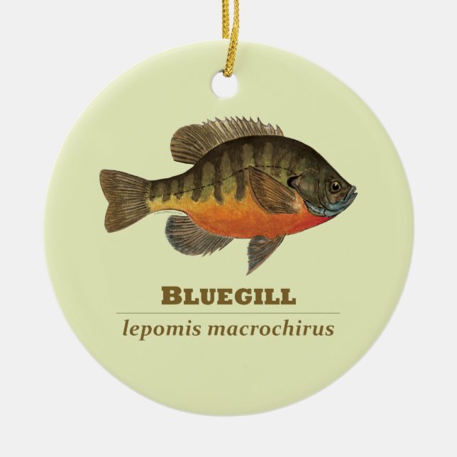 Bluegill Bream Fishing Ceramic Tree Decoration (Front)