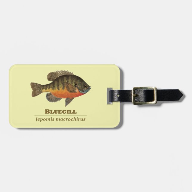 Bluegill Bream Fishing Luggage Tag (Front Horizontal)