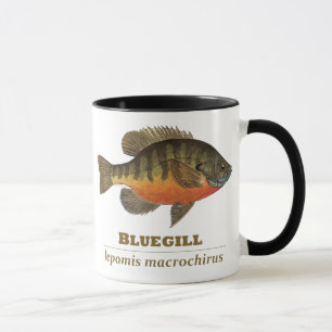 Bluegill Bream Fishing Mug