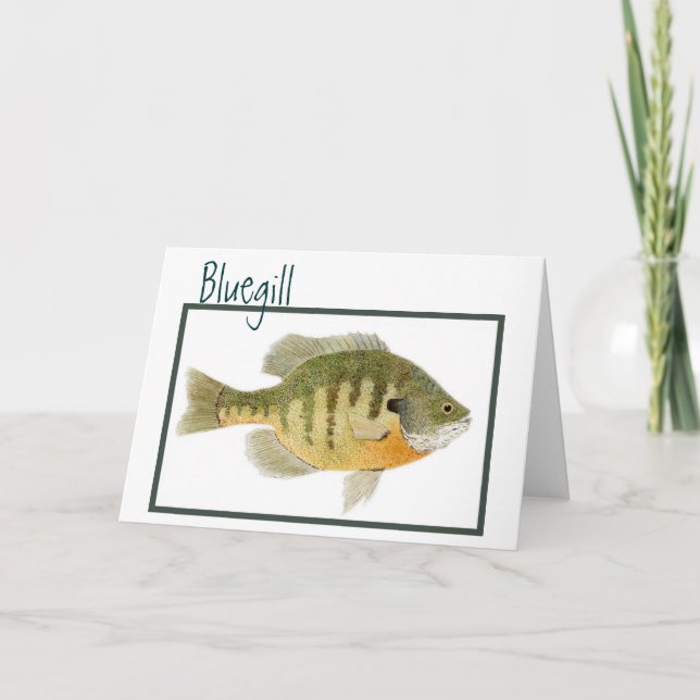 Bluegill card (Front)