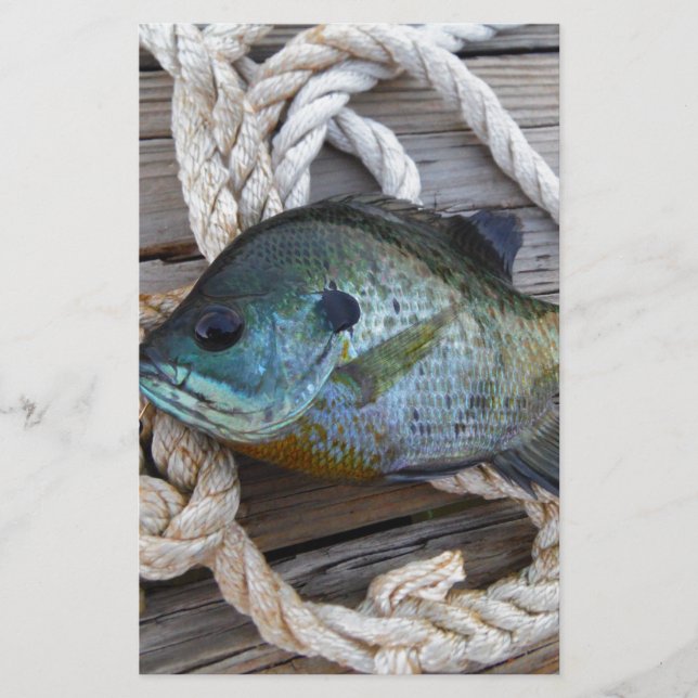 Bluegill fish on dock and rope (Front)