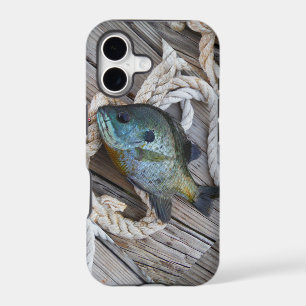 Bluegill fish on dock and rope