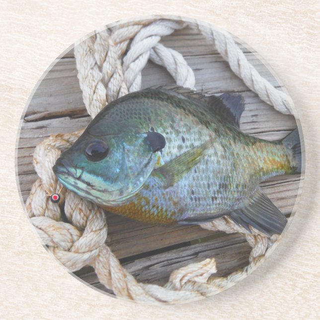 Bluegill fish on dock and rope coaster (Front)