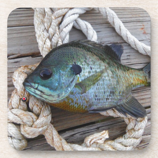 Bluegill fish on dock and rope coaster (Front)
