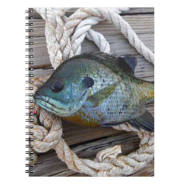 Bluegill fish on dock and rope notebook (Front)