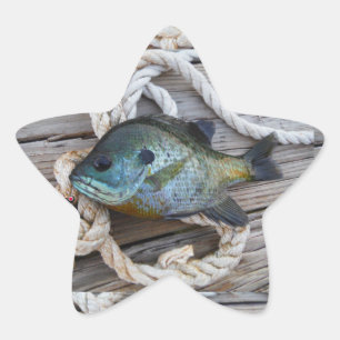 Bluegill fish on dock and rope star sticker