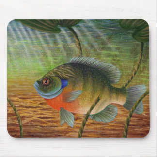 Bluegill Mouse Mat