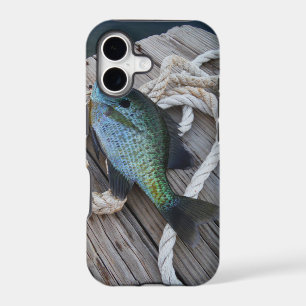 bluegill on dock