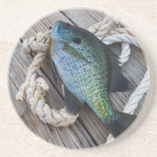 bluegill on dock coaster
