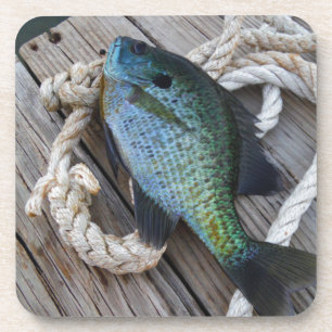 bluegill on dock coaster