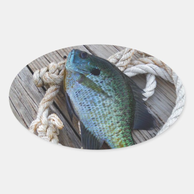 bluegill on dock oval sticker (Front)