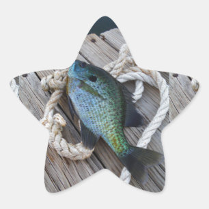 bluegill on dock star sticker