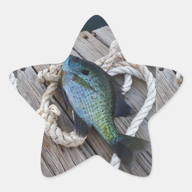 bluegill on dock star sticker (Front)