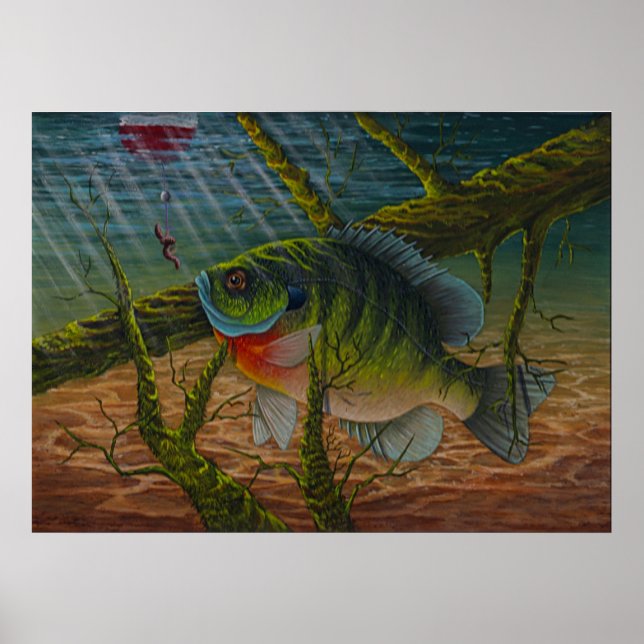 Bluegill print (Front)