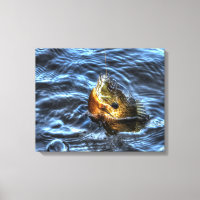 Bluegill Sunfish Fisherman's Outdoor Sports Art