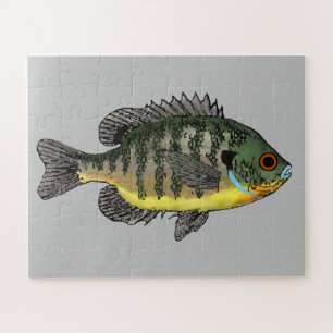 Bluegill Sunfish Jigsaw Puzzle