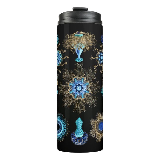 Bluegreen  Siphonophorae Thermal Tumbler (Front)